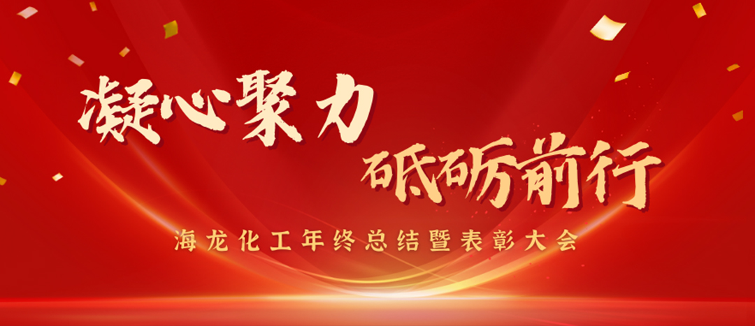 表彰 | 凝心聚力，砥礪前行，海龍化工年終總結(jié)暨表彰大會圓滿舉行