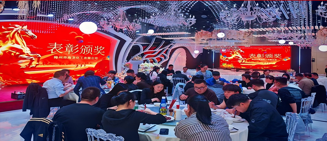 騏驥開道，奮進(jìn)新篇 | 海龍化工2025年終工作總結(jié)表彰暨團(tuán)年晚宴圓滿落幕
